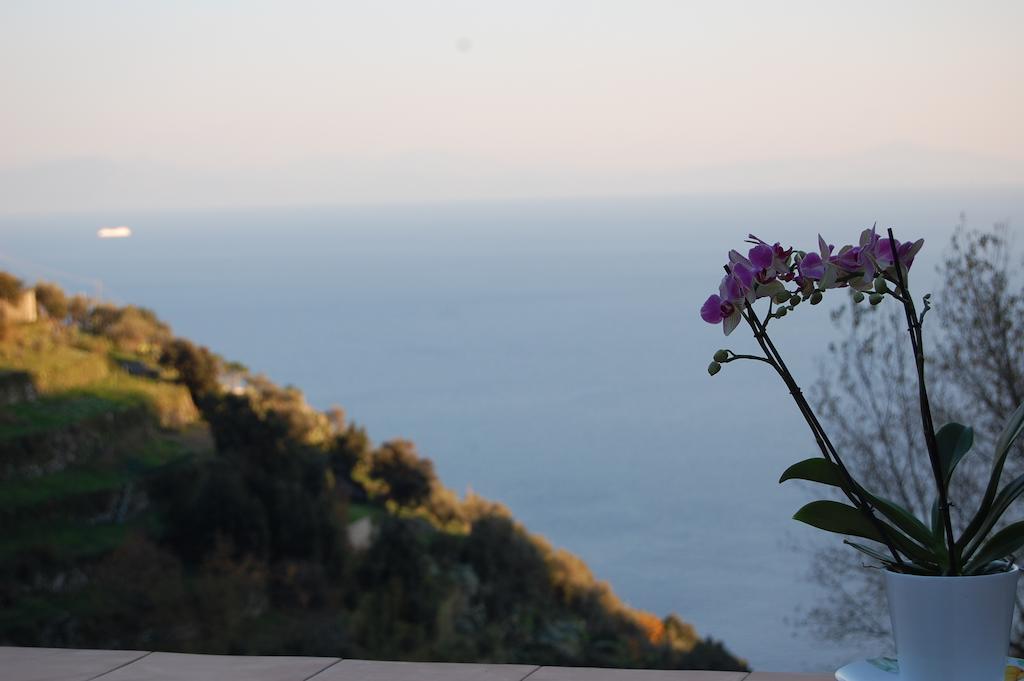 Tenuta Mamma Carmela Amalfi Esterno foto